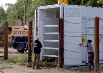 Dierentuin presenteert nieuwe soorten na vertrek olifant: paarden en runderen