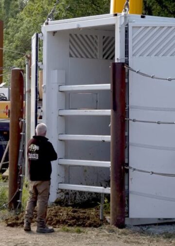 Dierentuin presenteert nieuwe soorten na vertrek olifant: paarden en runderen