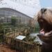 Op deze opvallende plek wil Ouwehands Dierenpark zeeleeuwen gaan houden