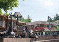 Brandweer met spoed naar Burgers’ Zoo: geen brand, wel veel damp