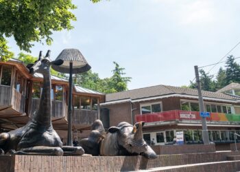 Brandweer met spoed naar Burgers’ Zoo: geen brand, wel veel damp