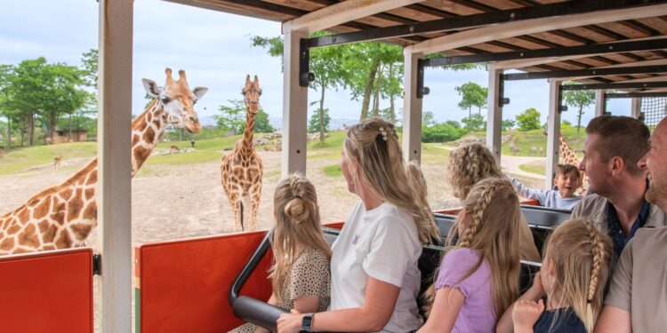 Beeld: Wildlands Blog e.a.