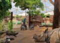Impressies onthuld van grootste bouwproject ooit voor Deense dierentuin