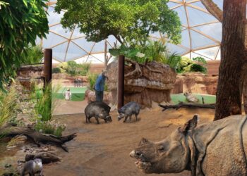 Impressies onthuld van grootste bouwproject ooit voor Deense dierentuin