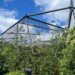 Groot verblijf in Diergaarde Blijdorp opengescheurd: dierentuin grijpt na maanden in