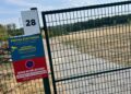 Locatie van nieuwste dolfijnenverblijf van Europa bekend: bouw start dit jaar