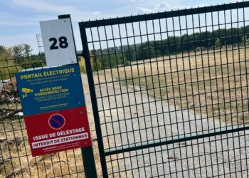 Locatie van nieuwste dolfijnenverblijf van Europa bekend: bouw start dit jaar