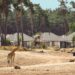 Gemeente wil miljoenen terug van Beekse Bergen: ‘We hadden een afspraak’