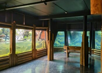 Pairi Daiza test lazy river-attractie: water stroomt door megakas Edenya