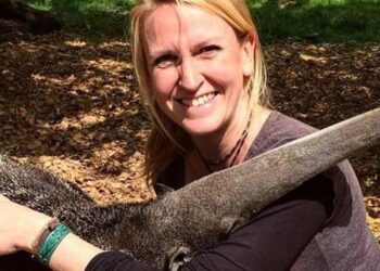Dierentuin in rouw: reuzenmiereneter-expert omgekomen bij vliegtuigcrash