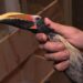 Omstreden Brabantse vogelhandelaar moet locatie sluiten: ‘Regels niet haalbaar’