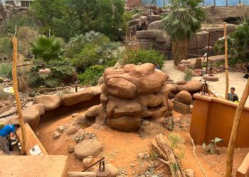 Vier nieuwe dierverblijven geopend in Burgers’ Zoo: plek voor meer dan tien diersoorten