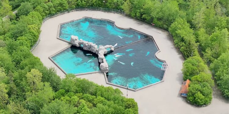 Eén van de twee beloegaverblijven in het gesloten Marineland / Beeld: Amusement Insiders
