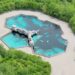 Bekende dierentuinen gaan dertig beloega’s redden uit gesloten park Marineland