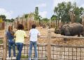 Eindhoven Zoo presenteert volledig nieuwe parkindeling: vijf themagebieden