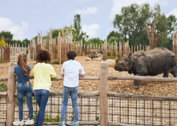 Eindhoven Zoo presenteert volledig nieuwe parkindeling: vijf themagebieden