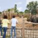 Eindhoven Zoo presenteert volledig nieuwe parkindeling: vijf themagebieden