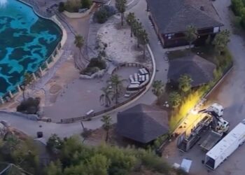Eerste dolfijnen na anderhalf jaar verhuisd uit gesloten dierenpark Marineland Antibes