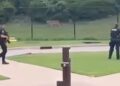 Amoerpanter ontsnapt uit verblijf: dierentuin en naastgelegen park ontruimd