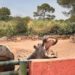 Een van de slechtst beoordeelde dierentuinen van Frankrijk gaat definitief dicht