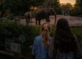 Diergaarde Blijdorp komt met exclusieve avondbeleving: bijna 70 euro per persoon