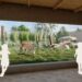 Opvangcentrum groeit steeds meer uit tot dierentuin: plannen voor nieuw tijgercentrum