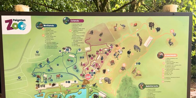 Beeld: Zoo Inside