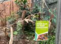 Oude tropenhuizen in Ouwehands Dierenpark blijven veranderen: opnieuw soort weg