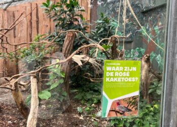 Oude tropenhuizen in Ouwehands Dierenpark blijven veranderen: opnieuw soort weg