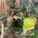 Oude tropenhuizen in Ouwehands Dierenpark blijven veranderen: opnieuw soort weg