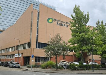 Nederland heeft er een nieuwe dierentuin bij: opening Serpo na jaren in zicht