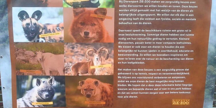 Beeld: Eeg Manders