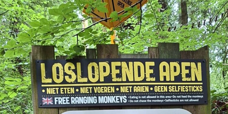 Beeld: Zoo Inside e.a.