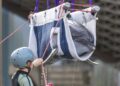 Vliegtuig met beloega’s en dolfijnen naar Europa: grootste dolfijnenverhuizing ooit