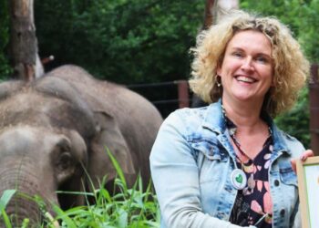 Directeur van DierenPark Amersfoort vertrekt voor de tweede keer