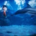 Dolfinarium produceert nieuwe dolfijnenshow: opvolger voor Oceanica