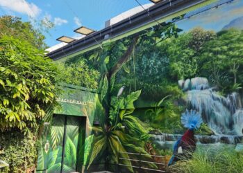 Tropenhuis na grote brand grootschalig vernieuwd: dierentuin investeert 10 miljoen euro