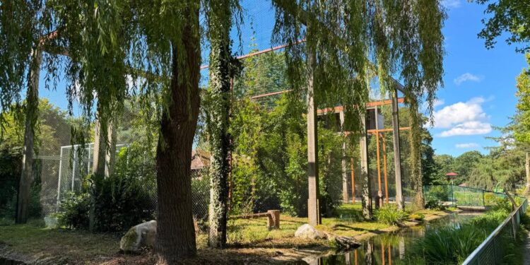 Het vernieuwde verblijf in Walsrode / Beeld: Daniels Wildlife