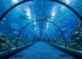 Plannen voor nieuw aquariumcomplex in Europa: 4 miljoen liter water, 55 meter lange tunnel
