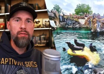 Bekende youtuber kotst op nieuw pinguïn- en zeeleeuwenverblijf: ‘Complete koortsdroom’