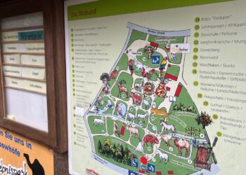 Dierentuin biedt levende dieren te koop aan bij bezoekers