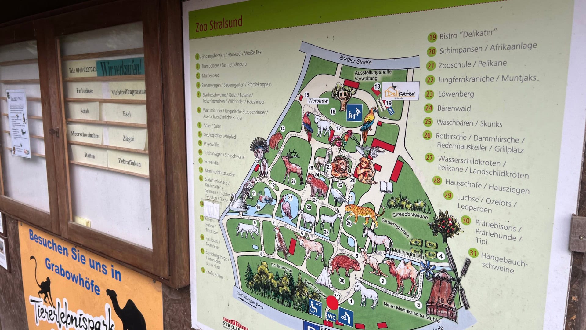 Dierentuin biedt levende dieren te koop aan bij bezoekers