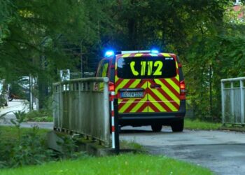 Bouwsteiger stort in bij Duitse dierentuin: bouwvakkers vallen meters naar beneden