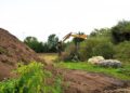 Wildlands start bouw van uniek rotatieverblijf: twee roofdiersoorten gepland