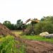 Wildlands start bouw van uniek rotatieverblijf: twee roofdiersoorten gepland