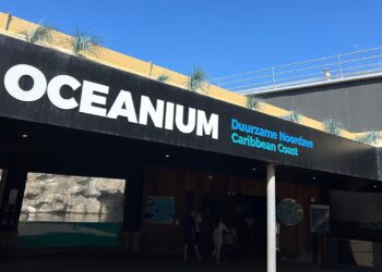 Vissen dood door technische storing in groot aquarium Diergaarde Blijdorp