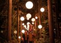 Lichtshow in Burgers’ Zoo keert terug: volledig vernieuwd na zeven jaar