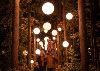 Lichtshow in Burgers’ Zoo keert terug: bezoekers volgen reis van vuurvliegje