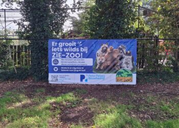 Na uitstel begint Zie-Zoo aan grote uitbreiding met nieuwe dierverblijven