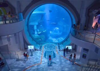 Nieuwe mantarog losgelaten in een van de grootste aquaria ter wereld